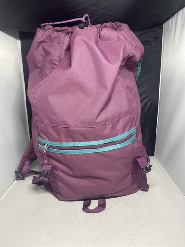 Patagonia Arbor Classic Pack 25L Purple & Teal Backpack Very Nice - Picture 7 of 11