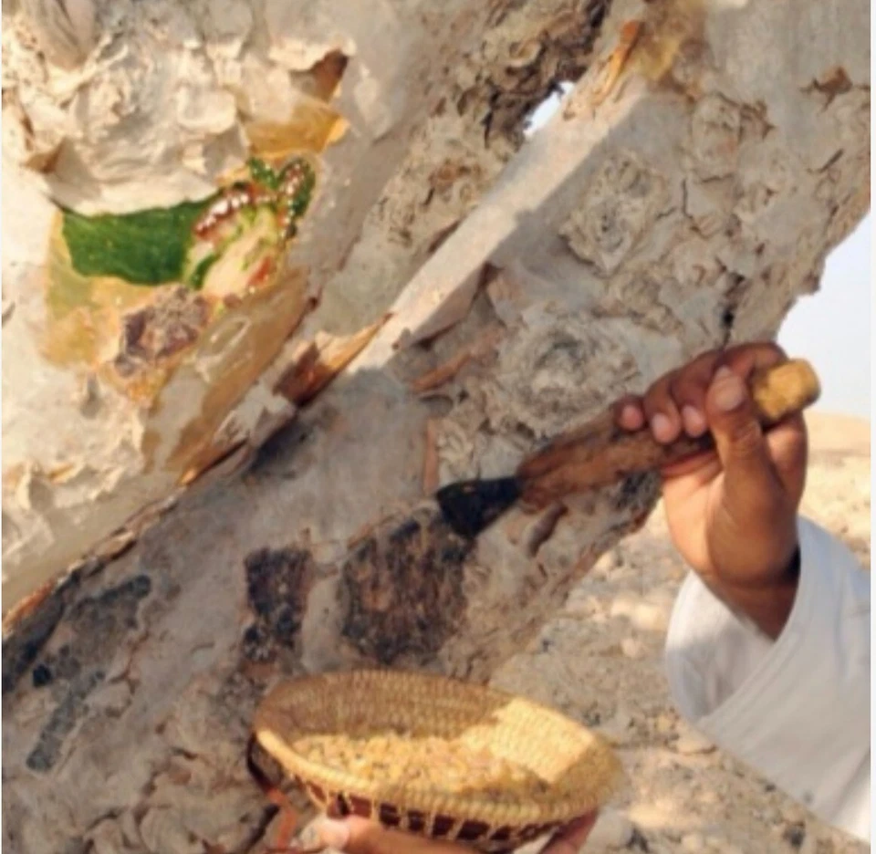 Incienso Resina Incienso Granular/100% Orgánico Puras Lágrimas Aromáticas (2 libras) Foto 3 de 4