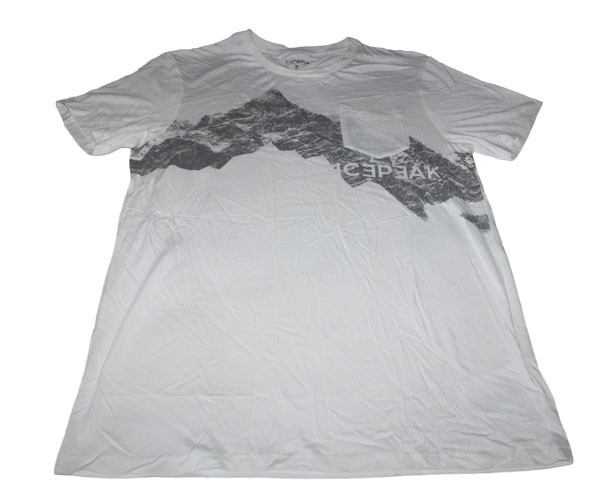 Herren T-SHIRT Shirt Ecru Burden Berge 757761548 Icepeak Gr. M Neu-image