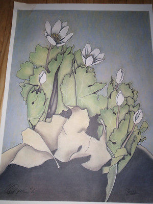   E.L. Corpas ''Resurrection'' Artist's Proof - Vintage Beauty Desert Wildflowers