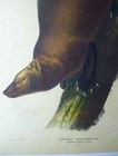 Foto 2 di 11