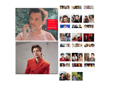 Harry Styles 1D 2023 Wall Calendar, Harry Styles gift, Harry Styles merch |  eBay