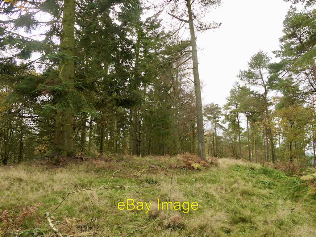 Photo 6x4 Summit, Bedstone Hill Mynd\/SO3574 Marked by a large and maturi c2021