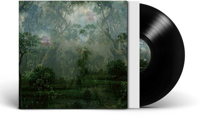 Twice a Man - The Coloured Breeze Is a New Dimension, Vinyl Record, LP