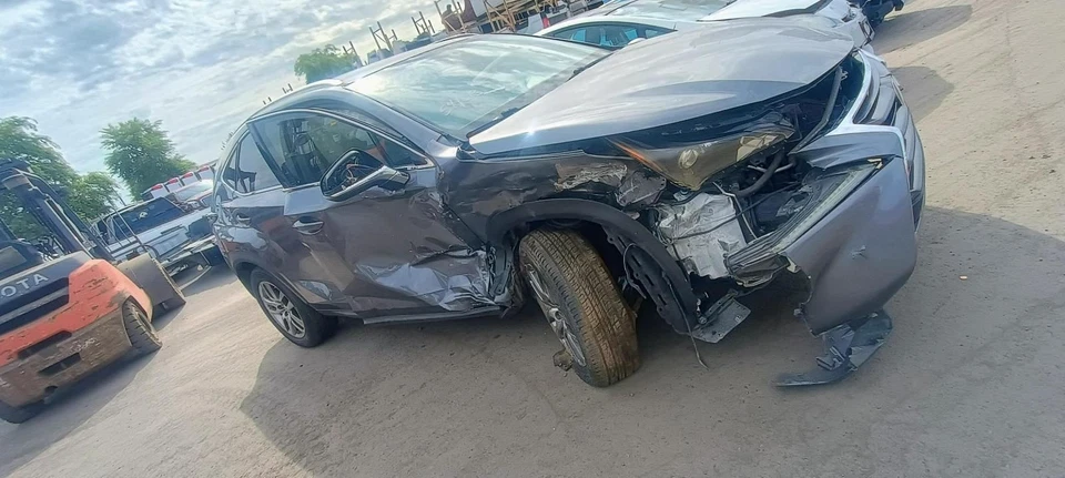 Driver Left Rear Side Door Fits 15-17 LEXUS NX200T 2495828 Foto 2 de 4