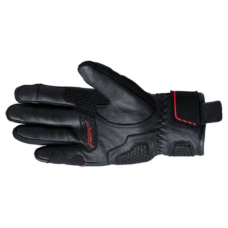 Black Red, photo 2 of 2