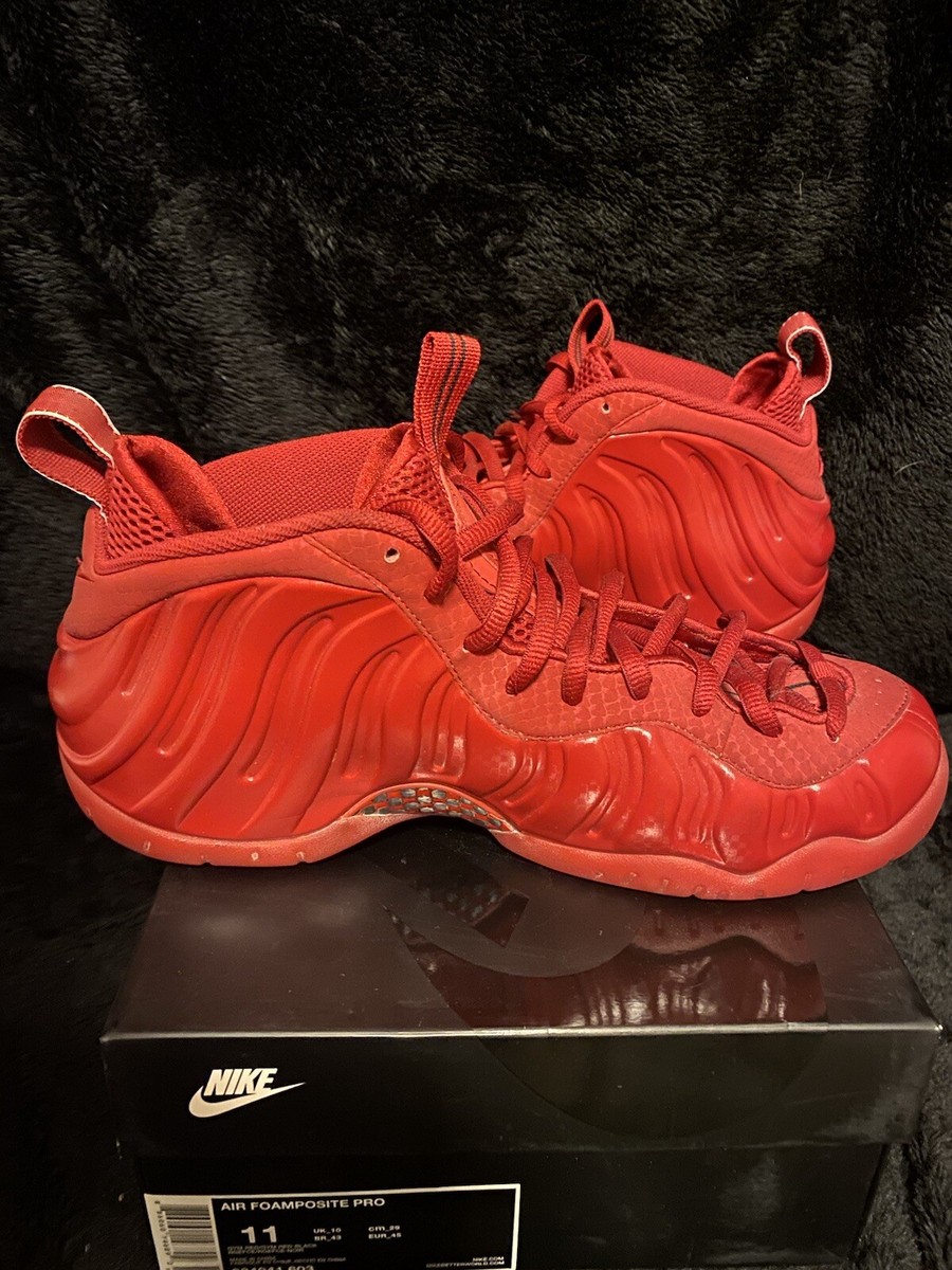 靴 Nike Air Foamposite Pro \