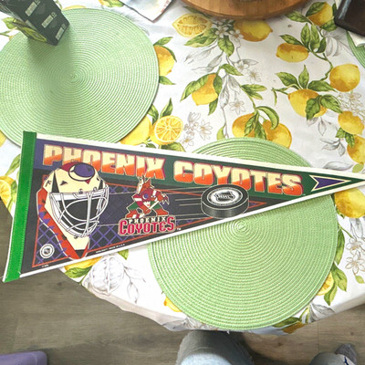 WinCraft Phoenix Coyotes NHL Hockey Pennant Flag Green Purple Orange White30 /12