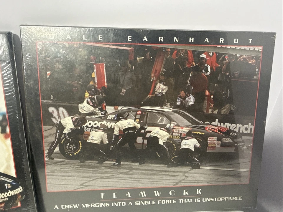 Placas de Pared Dale Earnhardt Victoria Trabajo en Equipo NASCAR Coleccionables (2) Intimidator Foto 4 de 4