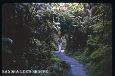 Kodak Slide 1966 Hawaii Woman Walking Thurston Lava Tube Walk  #390