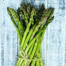 Asparagus UC 157 F2 Perennial HEIRLOOM Heavy Yields Most Popular in USA 50 Seeds