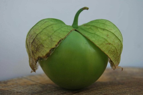 600 Green Tomatillo Seeds Physalis ixocarpa Cape Gooseberry Heirloom Organic - Picture 4 of 9