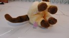 Bild 6 von 8