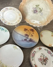 Set of 7 Antique Hand Painted Plates Bavaria Homer Laughlin Pheasants & Peonies 