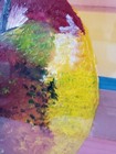Bild 6 von 10