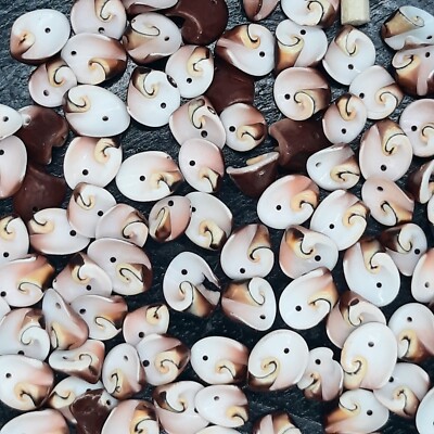 Kunst-Schnecken Beads Schmuckherstellung