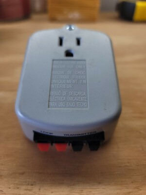 can cats eat raw sausages