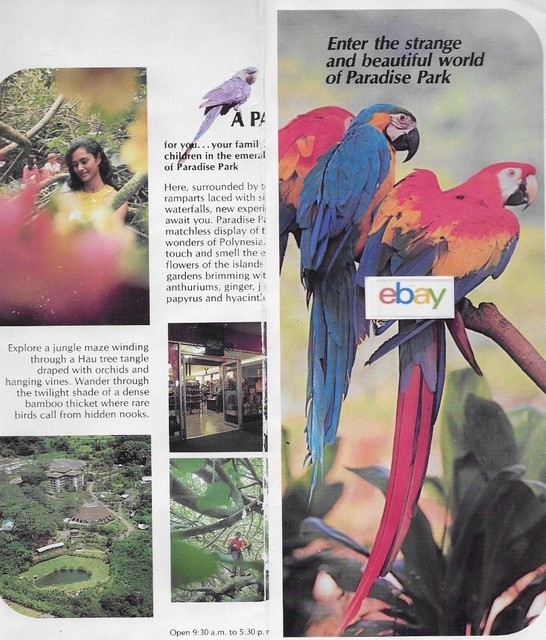 PARADISE PARK TRADITIONAL PARK HONOLULU,HAWAII MANOA VALLEY 1970