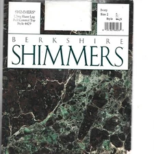 New Berkshire Shimmers Full Control Top Pantyhose, Ivory, Size 2