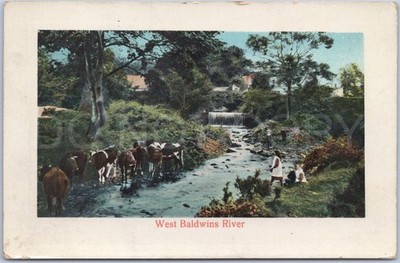 River West Baldwins Vintage Postkarte England