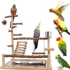 Bird Playground with Feeder Cups, Wooden Parrot Play Stand for Cockatiel, Par...