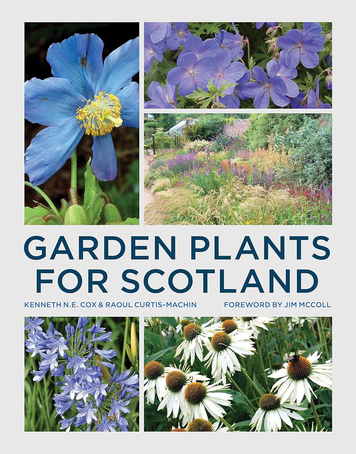 Garden Plants for Scotland,Kenneth Cox, Raoul Curtis-Machin- 978 - Image 8