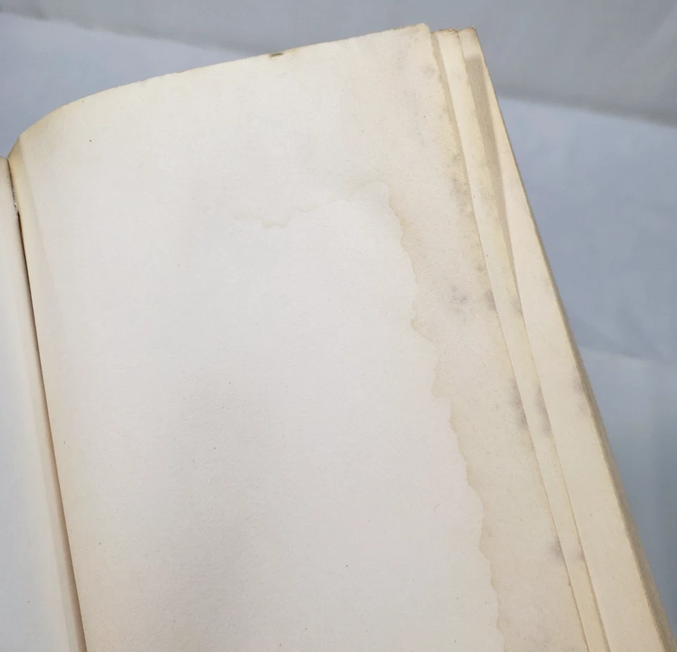 Hannah of Fort Bridger Complete Series Set 8 Books 1-8 Al JoAnna Lacy Paperbacks Foto 3 de 4