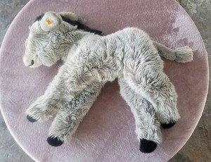 Steiff Vintage Molly Donkey Made In Austria 0335/55