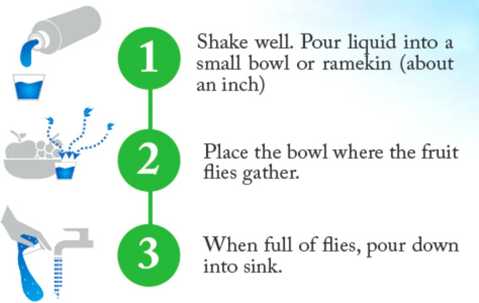 Eco Defense Fruit Fly Killer Natural Fruit Fly Trap & Drain Fly