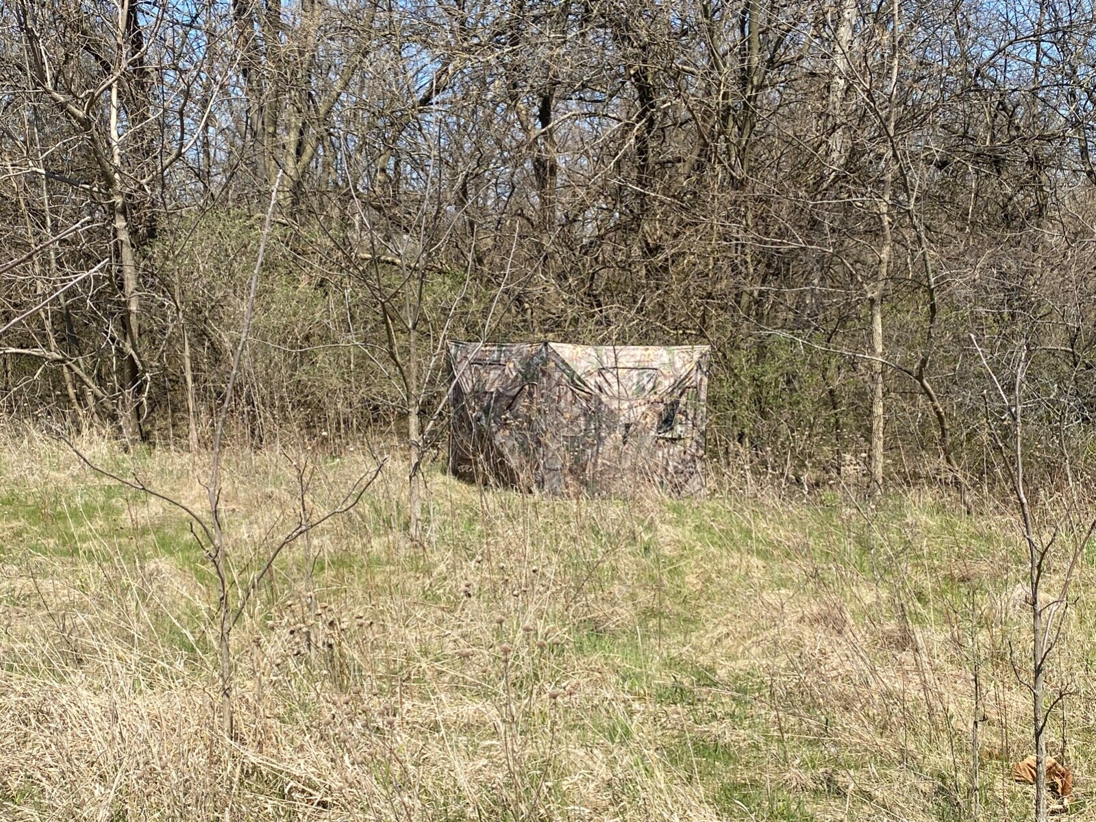Picture 6 of 11