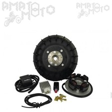 25356850 PINASCO ACCENSIONE ANTICIPO VARIABILE FLYTECH PER VESPA 125 T5