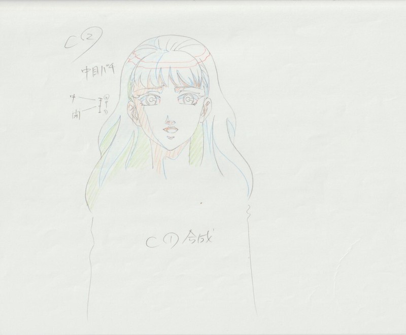 The Twelve Kingdoms Juuni Kokki Genga Douga Original Sketches Pierrot - Youko