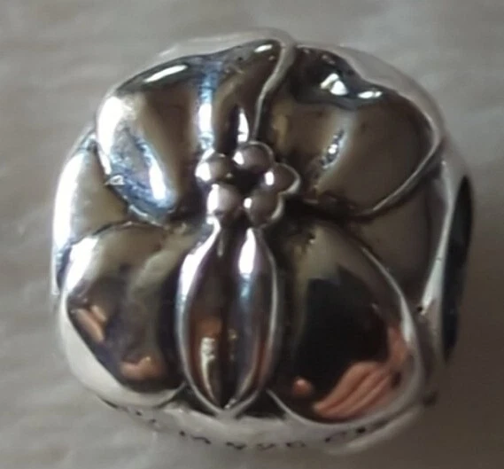 CHAMILIA GARDEN CLUB FEBRERO - ENCANTO VIOLETA ESTERLINA 2010-3218 Lote AP0069 Foto 2 de 2