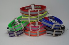 112D Reflect R-In-C 3/4" SunGlo for Hunting Dogs or Pets "Free Brass Nameplate"