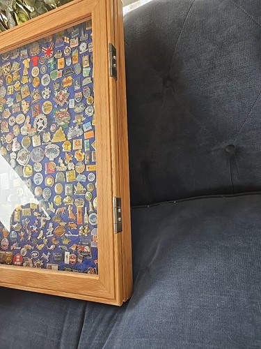 Lot Of New And Vintage Pins of Over 200 pins mounted on display 18" By 24" Case - Picture 10 of 12