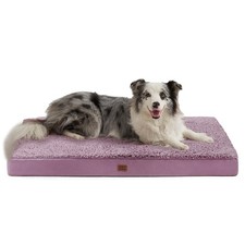 Orthopedic XL Dog Bed for Crate/Extra Large Dogs, Removable Washable Cover 41x27