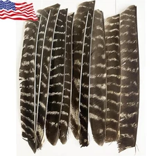 50X Archery Arrow Feather Fletches Full Length Natural Fletching RW LW Shaft DIY