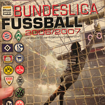 Panini Bundesliga 06/07 + WM 2010 Stickeralbum Deutsch Original Und Vollständig