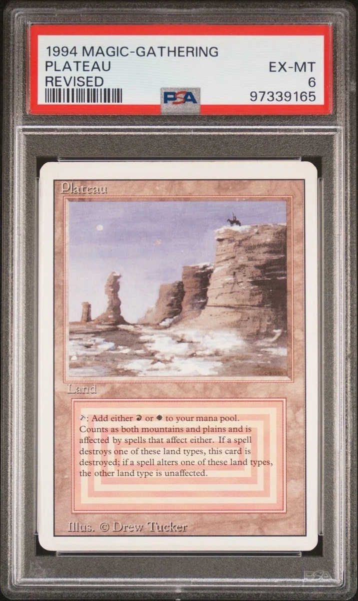 Land Magic: The Gathering Professional Sports Authenticator (PSA