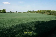 Photo 12x8 Wheat field near Tollsworth Manor Chaldon The view is spoilt a  c2019