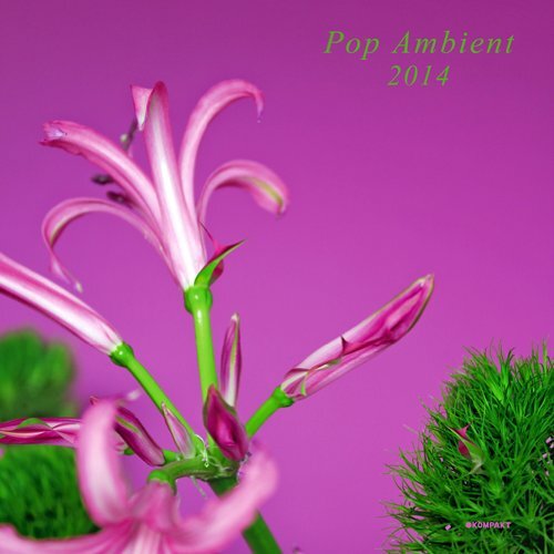 Aa.Vv. - Pop Ambient 2014