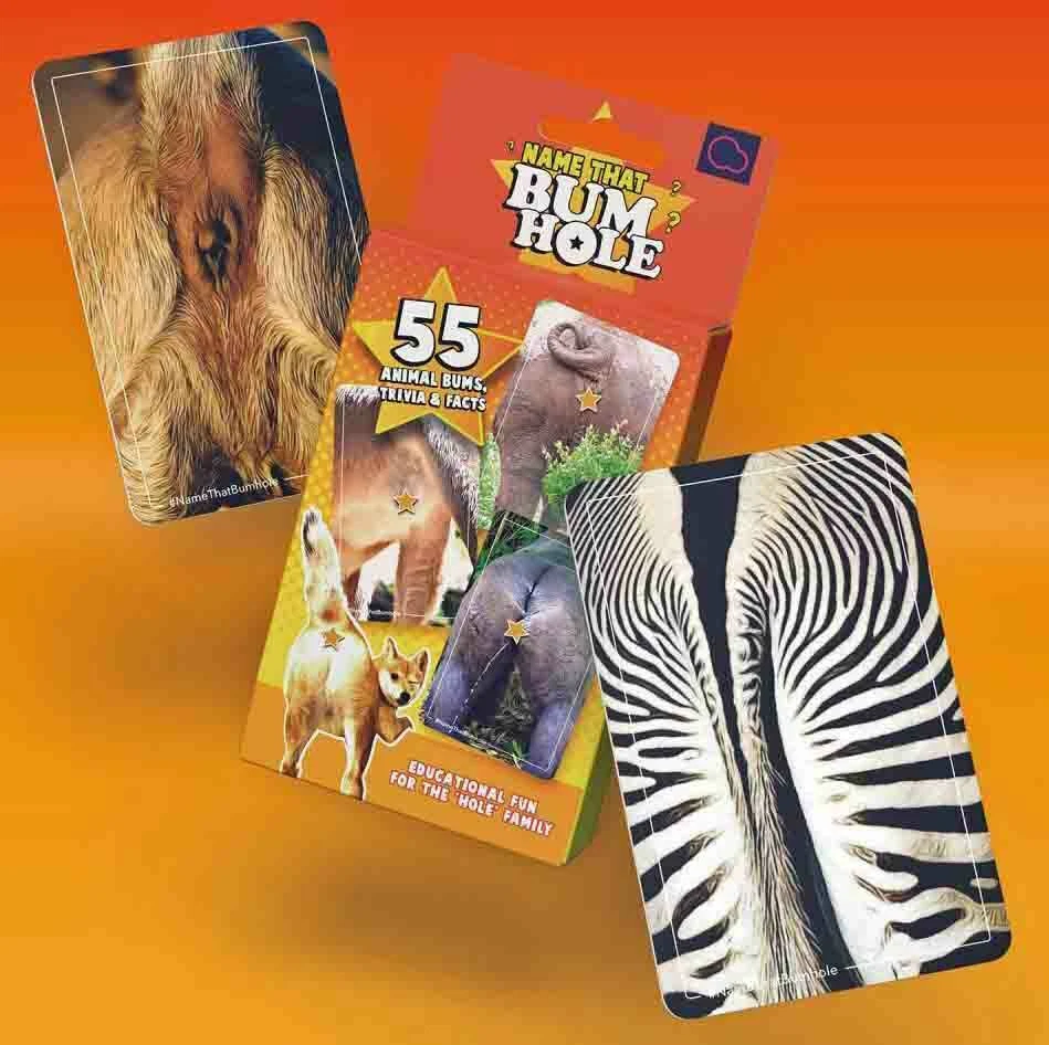 NAME THAT BUM HOLE Card Game Bubblegum Stuff BUMHOLE Educational, Trivia, Facts - Image 2 of 3