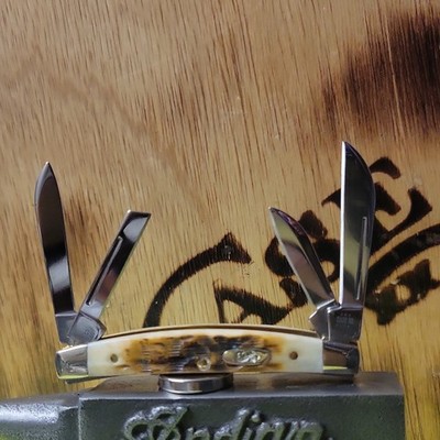 Case XX 4 Blade Small Congress  Pocketknife Amber Bone Handle Stainless Steel