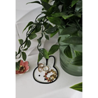 Miffy Flat Plastic Plate – Adorable Display for Small Items & Collectibles
