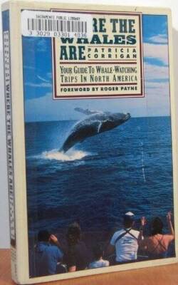 Where the Whales Are: Your Guide to Whale-Watching Trips in North America - GOOD