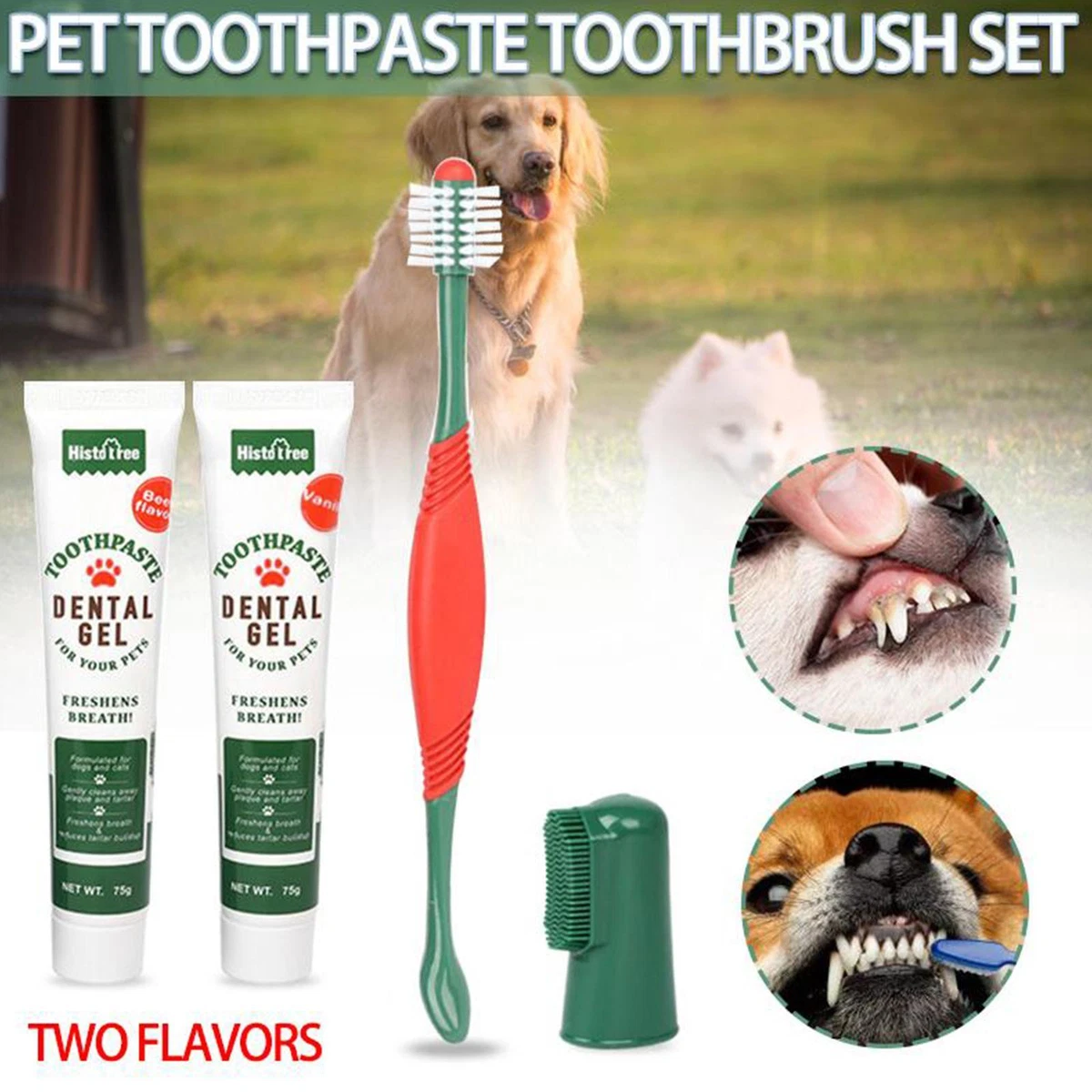 Dog toothbrush and toothpaste clearance ebay