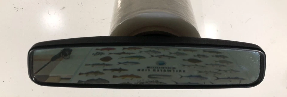 Espejo retrovisor Ford Mustang GT Cobra 1994-04 Foto 4 de 4