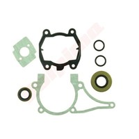Dichtungen + Simmerringe FÜR Stihl TS700 , TS800 ( 4224 007 1012 )