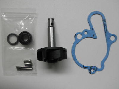 KIT ÜBERHOLUNG WASSERPUMPE (100110080) FÜR MINARELLI AM6