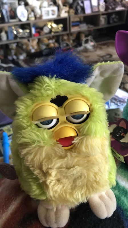 furby gumtree